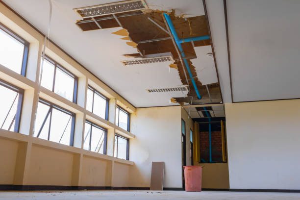 Best Water damage cleanup near me  in Rogersville, TN