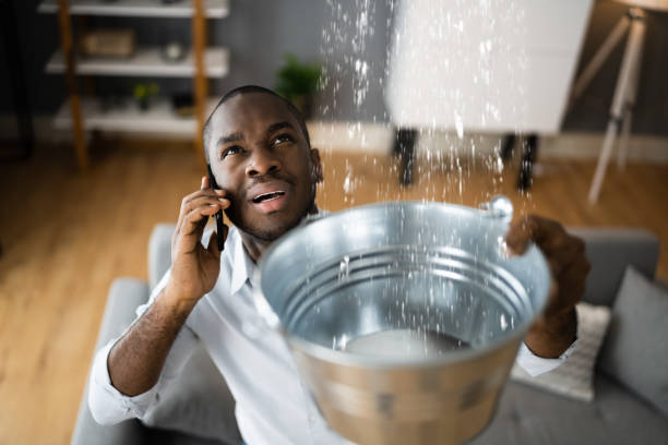Best Water damage restoration mold remediation  in Rogersville, TN