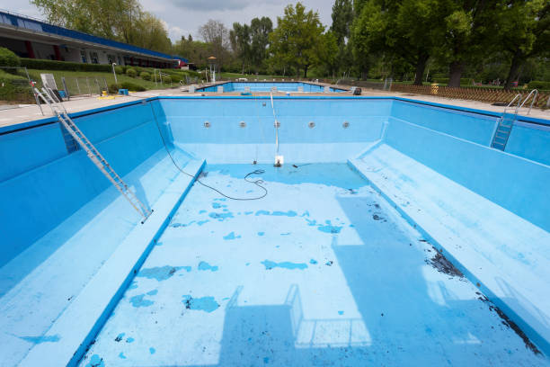 Best Water damage restoration near me  in Rogersville, TN