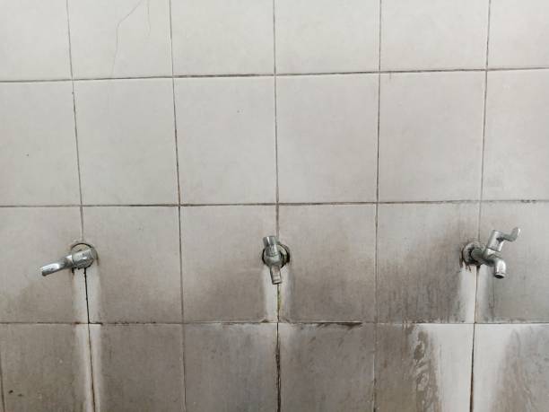Best Local water damage restoration  in Rogersville, TN