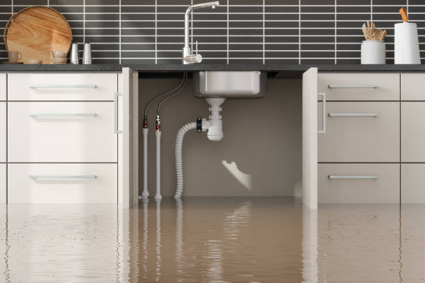 Best Carpet water damage restoration  in Rogersville, TN
