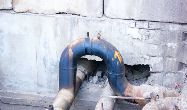Best Water damage restoration insurance claims  in Rogersville, TN