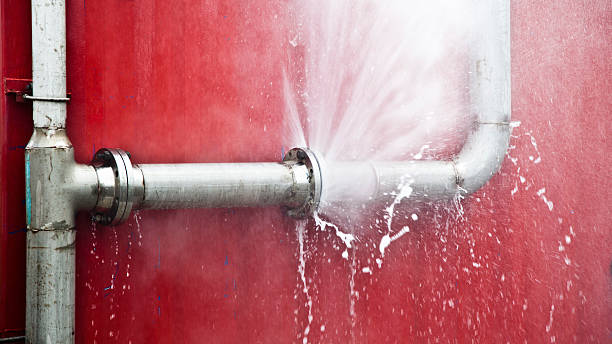  Rogersville, TN Water damage restoration Pros